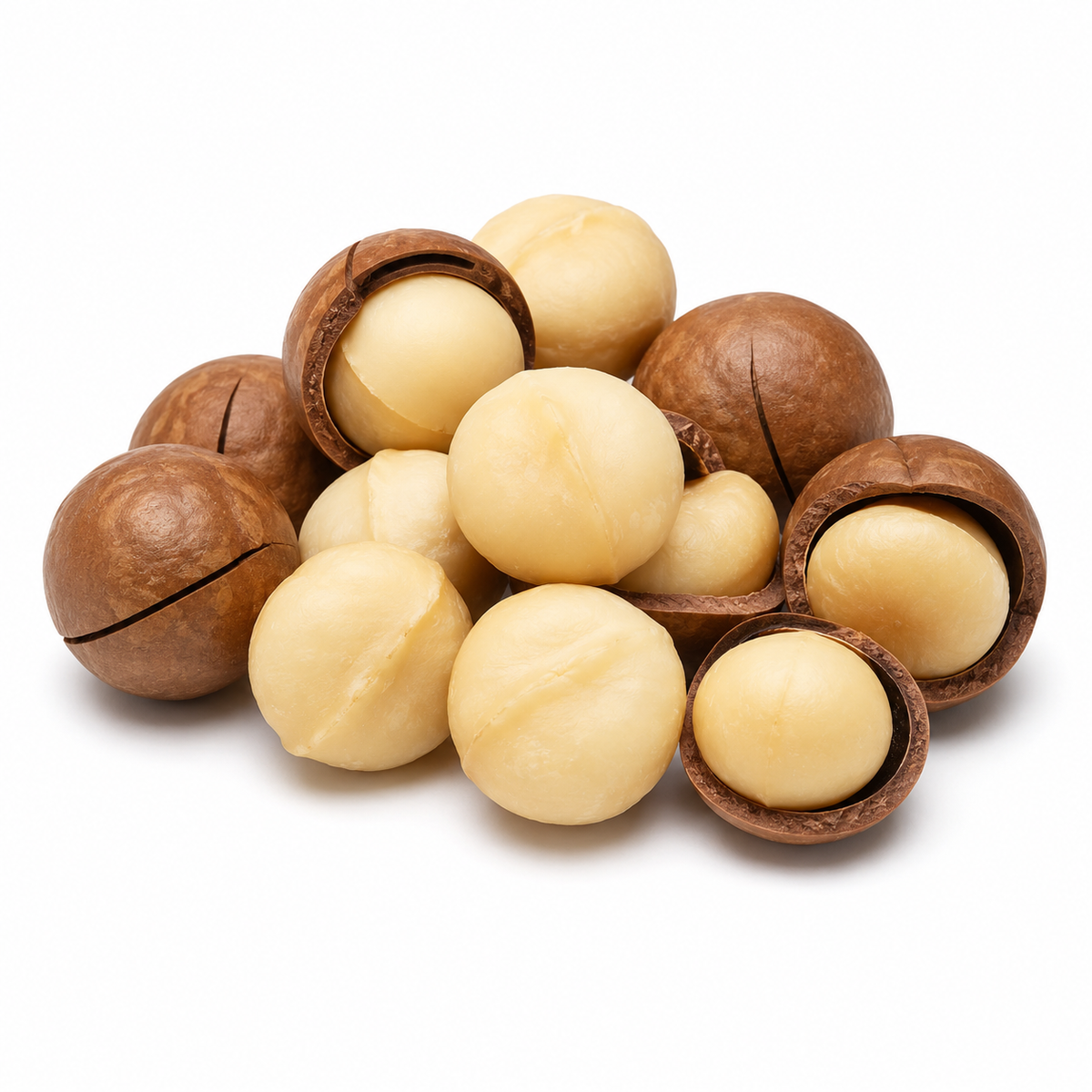 MACADAMIA